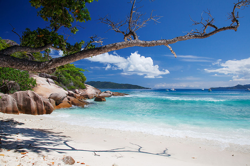 image What’s Eaten Where: The Seychelles