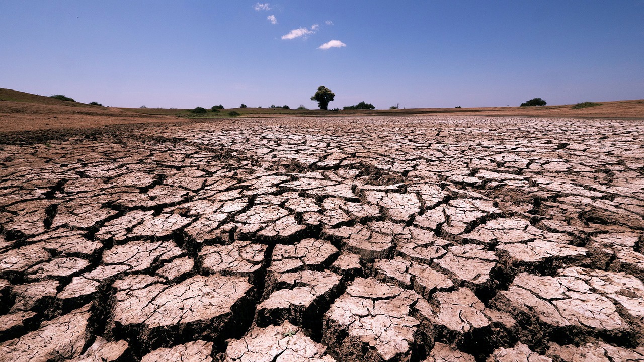 image Cyprus must take action to become more resilient