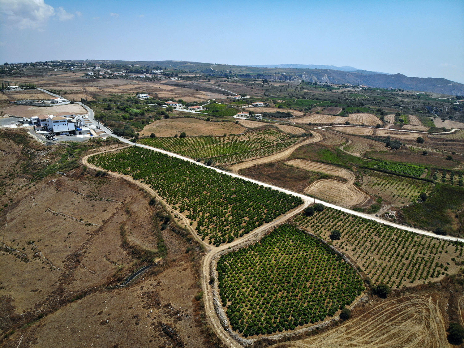 image Single vineyards: does specific terroir mean better wine?